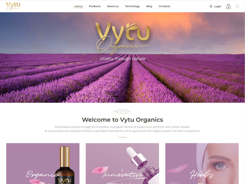 Web Studio Vilex
